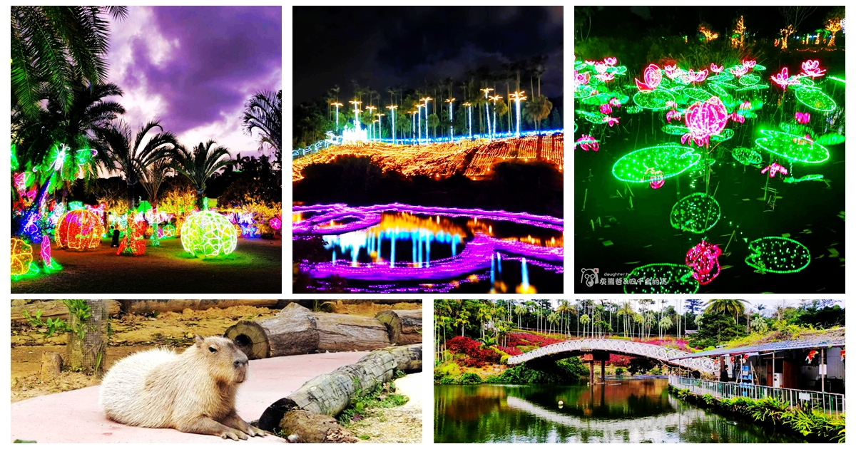 國外旅遊｜沖繩自由行 Day3｜東南植物樂園，從白天走進夜晚的燈光世界